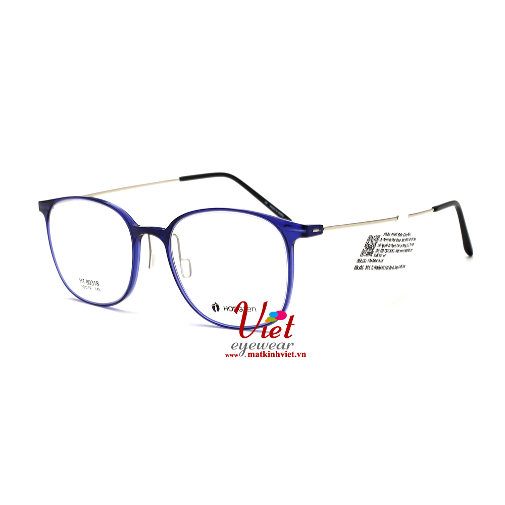 Gọng kính HANGTEN HT80318 C3